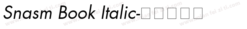 Snasm Book Italic字体转换